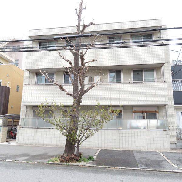 神戸市灘区城内通の賃貸