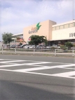 神戸市長田区駒ヶ林町（神戸市営地下鉄海岸線駒ヶ林）のアパート賃貸物件 その他写真6