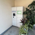 神戸市東灘区住吉宮町（ＪＲ東海道本線（近畿）住吉）のマンション賃貸物件 その他写真7