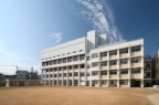 神戸市東灘区深江本町(阪神本線深江)のアパート賃貸物件 その他写真6