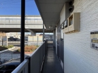 西宮市鳴尾町(阪神本線鳴尾・武庫川女子大前)のマンション賃貸物件 その他写真7