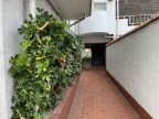 神戸市灘区岩屋北町(阪神本線岩屋)のマンション賃貸物件 その他写真5