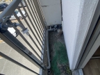 神戸市中央区吾妻通（ＪＲ東海道本線（近畿）三ノ宮）のマンション賃貸物件 その他写真8