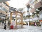 宝塚市栄町（阪急宝塚線宝塚）のマンション賃貸物件 その他写真6