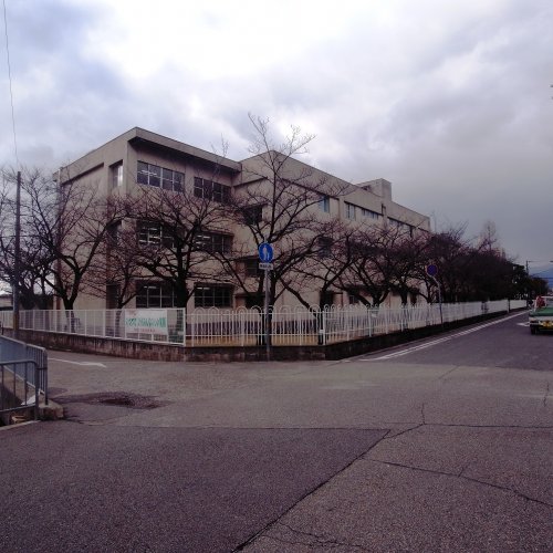 その他写真9
