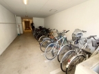 神戸市東灘区森南町（ＪＲ東海道本線（近畿）甲南山手）のマンション賃貸物件 その他写真2