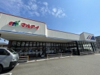 神戸市東灘区魚崎南町（阪神本線青木）のマンション賃貸物件 その他写真2
