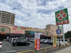 西宮市甲子園九番町（阪神本線甲子園）のマンション賃貸物件 その他写真6