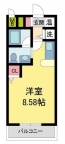 西宮市甲子園口北町の賃貸
