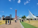 神戸市中央区元町通の賃貸